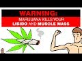 🌿 [WARNING] Pot, Marijuana and THC Kills Your Testosterone, Libido and Muscle Mass