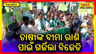 ଚାଷୀଙ୍କ ବୀମା ରାଶି ପାଇଁ ଗର୍ଜିଲା ବିଜେଡି | Balangir News