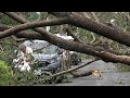 Taiwan cleans up after Typhoon Krathon batters south | AFP