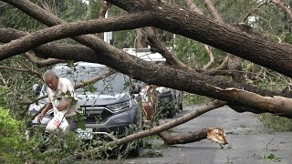 Taiwan cleans up after Typhoon Krathon batters south | AFP