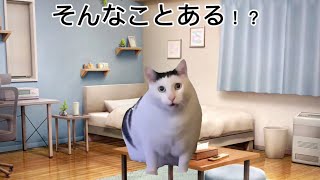 【中日】 猫ミーム ボスラー選手が特大の3ランホームランを放つも、乱打線を制せず連敗で不安しかない中日ファン #猫ミーム #中日ドラゴンズ #ボスラー #岡林勇希