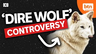 The Problem With These ‘Dire Wolves’