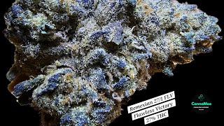 REVIEW 💤🛌 Remexian 27/1 FLV #FlawlessVictory #Kanada 🇨🇦 #indica