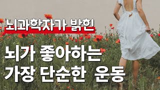 걸으면 생기는 뇌의 놀라운 변화 '걷기의 세계'