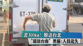 差300km！　原送台北「錯放台南」　黑貓：人員疏失