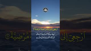 Short Tilawat e Quran | Suraha Al Fajr  | Ayat 27 To 30 | Mohaddis Media #shorts
