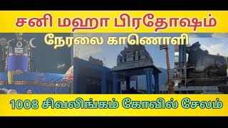 சனி மஹா பிரதோஷம் 1008 லிங்கம் கோவில் சேலம்