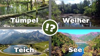 Tümpel, Weiher, See oder Teich? Oberflächengewässer richtig einordnen