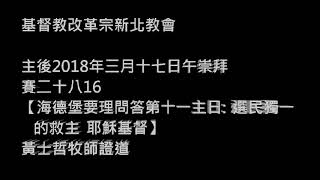 【海德堡要理問答第十一主日: 選民獨一的救主】