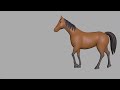 Horse 3D Rigging Demo Reel