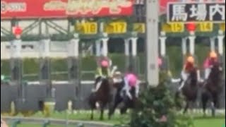 スタートして０.５秒でカラ馬にドゥラエレーデ あまりに不運な落馬