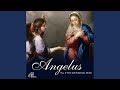 Regina Coeli (Prayer for Easter Season)