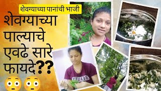 शेवग्याच्या पाल्याचे एवढे सारे फायदे? कणकवली #Kankavli #MalvaniRacipe #मालवणीपदार्थ #konkan #कोकण