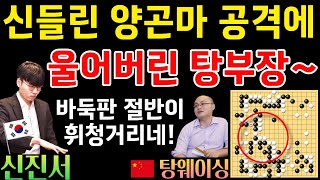 신진서, 신들린 양곤마 흔들기에 울어버린 탕부장~ 바둑판 절반이 휘청거리네! [중국갑조리그 신진서 VS 탕웨이싱 2020-12-08] #바둑 #신진서 #중국갑조리그