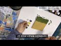 전수민easyart 가성비 쪄는 단돈 천원짜리 다이소 그림