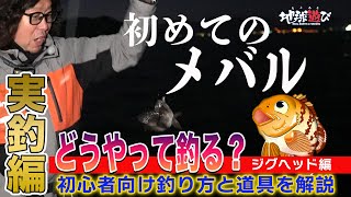 【初めてのメバル（実釣編）】ジグヘッドで陸っぱりからのメバリングを簡単解説　【地球遊び 205】