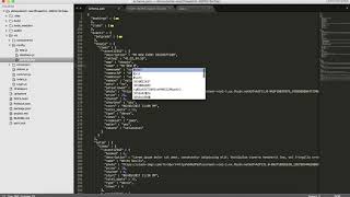 FireAdmin Step 4 Schema Firebase admin console