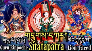 ☸Remove Obstacles-Guru Rinpoche, Sitatapatra & Lion-Faced Dakini Prayer|གུ་རུ་གདུགས་དཀར་སེང་གདོང་མ།