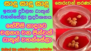 ඉතාම දුර්ලභ ධාතූන් වහන්සේ ප්‍රදර්ශනය - අන්තිමට වෙන දේ ඔයාටත් පෙනෙයිද බලන්නකෝ #buddhism