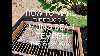 How To Make The Delicious Mung Bean Tempeh The Easy Way