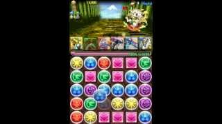 パズドラ　水の戦国龍超級をスーパーローテンションでクリア