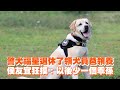 警犬福星退休了領犬員爸領養　侯友宜狂摸：以後少一個乖孫