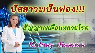 รีบเช็กด่วน!! ปัสสาวะเป็นฟอง สัญญาณเตือนหลายโรค | Kidney disease | พี่ปลา Healthy Fish