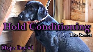 Hold Conditioning Moja | Ep: #1