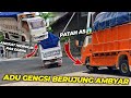 NEW INOE OLENG SAMPAI AS PATAH🔥 || PEREBUTAN HARGA DIRI,ELF MACAN VS ELF MACAN