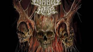 Horror y Dolor -  Morbid Hate