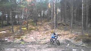 Skogstur med fiddy Orion 125cc