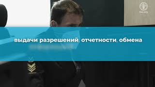 Добровольные руководящие принципы перегрузки