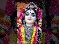 श्री वृन्दावन धाम से हमारे प्यारे श्री राधा रानी जी के दर्शन 🙏🙏 05 02 25 radha krishna vrindavan