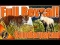 Sundarpatan FULL REVEAL! | Trailer, Species, Possible Great One + More!!!