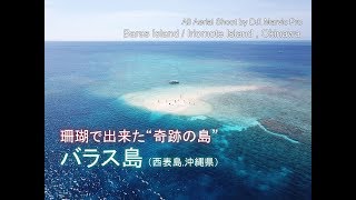 【ドローン空撮 / 絶景 】“バラス島” 美しい海に浮かぶ珊瑚の島（西表島）[ BARAS ISLAND , Okinawa , Japan ]