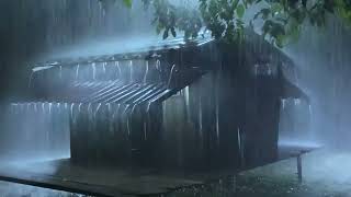 Go to Sleep with Thunder & Rain Sounds   Relaxing Sounds for Insomnia Symptoms & Sleeping Disorders