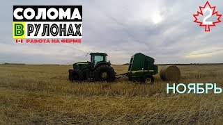 Работа на ферме. Солома в рулонах. Канада саскачеван влог