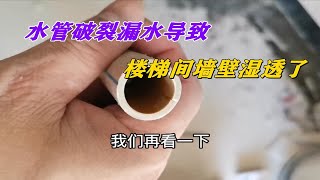 客厅水管漏水导致楼梯间墙壁湿透，又是劣质水管破裂引起的！