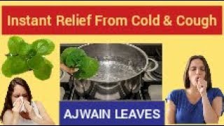 Nature Care Health+|Ajwain Leaves|Instant Relief For Cold \u0026 Cough.