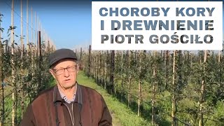 #55 Choroby kory i drewna – Komunikat Sadowniczy Piotr Gościło – miedź mix