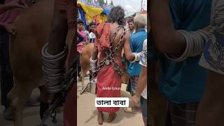 গাবতলী গরুর হাটে তালা বাবা। কি করলো দেখুন