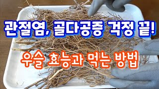 관절염, 골다공증 걱정 없다! 우슬(쇠무릎 뿌리) 효능과 먹는 방법