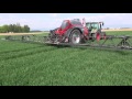 horsch leeb lt