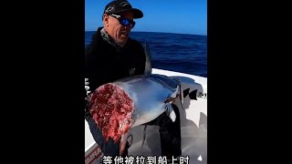 戶外釣魚 一群釣魚佬在深海之中用鮮活誘餌釣貨巨型龍躉#戶外 #海釣 #原來釣魚才是抖音運動頂流