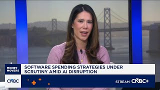 Software spending strategies under scrutiny amid AI disruption