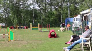 21/05/2017 FERRIERES AURELIEN KODA JUMPING