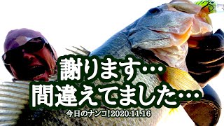 【今日のナンコ！2020.11.16】謝ります…間違えてました…【琵琶湖バス釣り】