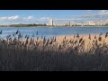 Pájaros migratorios de ciudad: Un oasis secreto en la bahía de Tokio