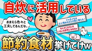 【2ch有益スレ】自炊!マジで貧乏飯にピッタリな節約食材挙げてけｗ【ゆっくり解説】