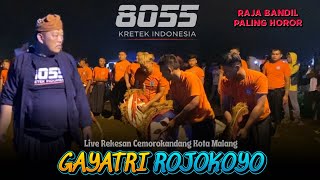 Awas Jangan Suwitan!!, GAYATRI ROJOKOYO Full Bandilan,, Jaranan Gan4s Asli Malang,,